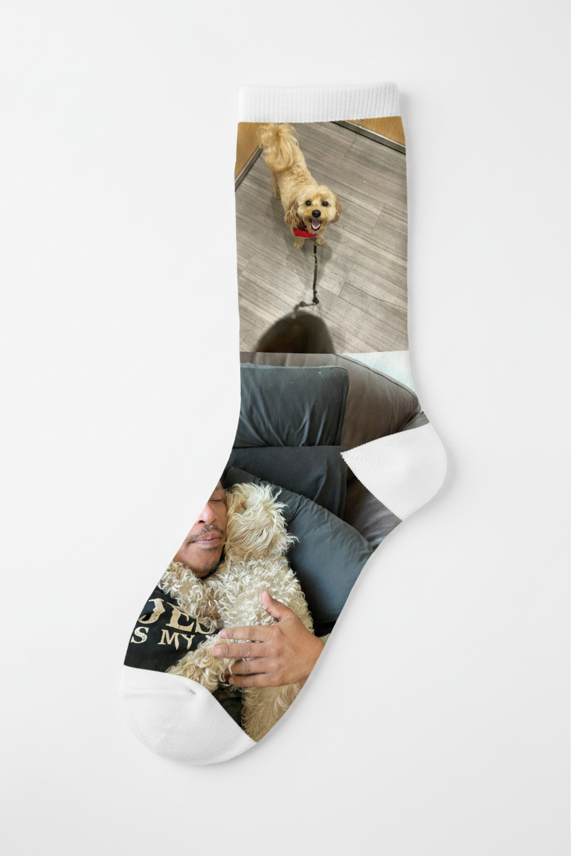 Sock 1 - Puppy & You